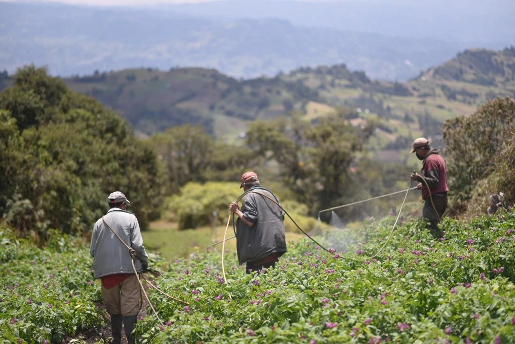 Hidrógeno impulsaría fertilizantes más baratos en Colombia