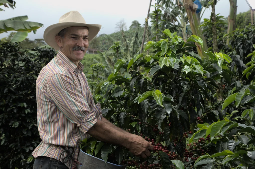 COOPERAN fortalece la caficultura tras superar la intervención