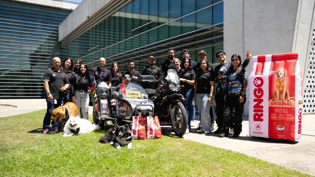 Yamaha y Ringo recorrerán Colombia apoyando fundaciones de protección animal