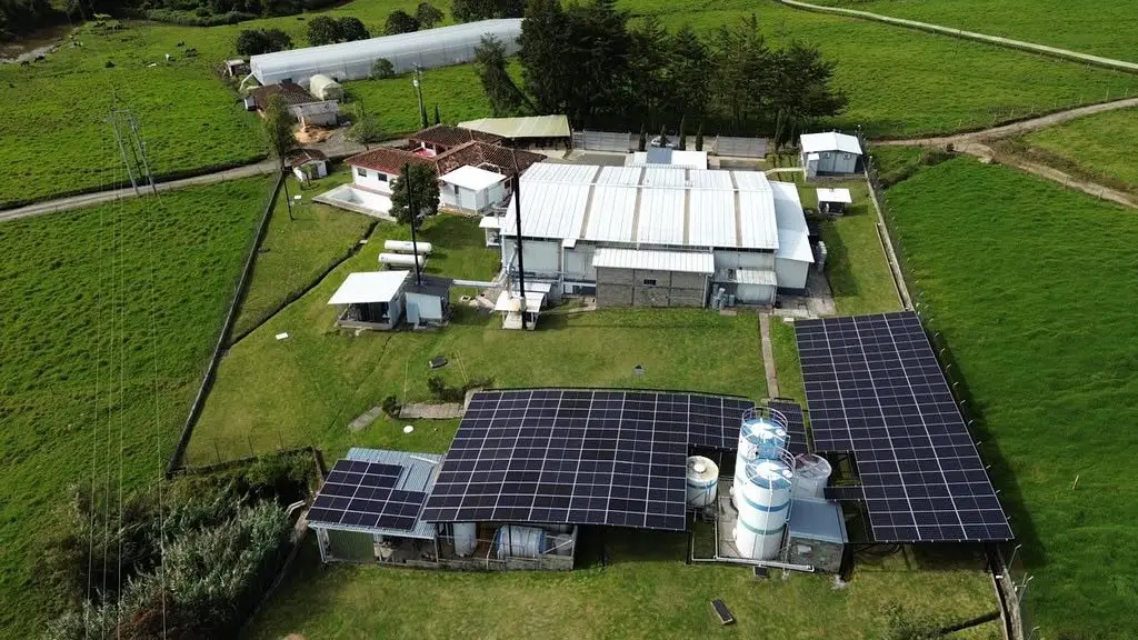 Picados instala planta solar para abastecer 60% de su operación