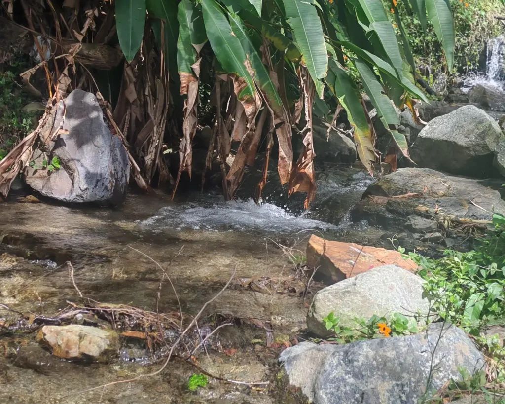 Cortes de agua en Medellín: fechas, horarios y zonas