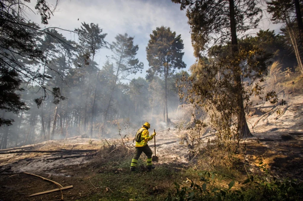 Medellín refuerza prevención por incendios forestales